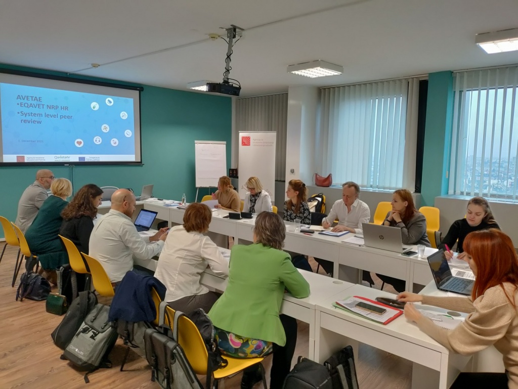 International systemic peer review in Croatia